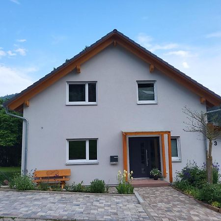 Fewo Am Neckarsteig Mit Anbindung An Heidelberg Neckarsteinach Buitenkant foto