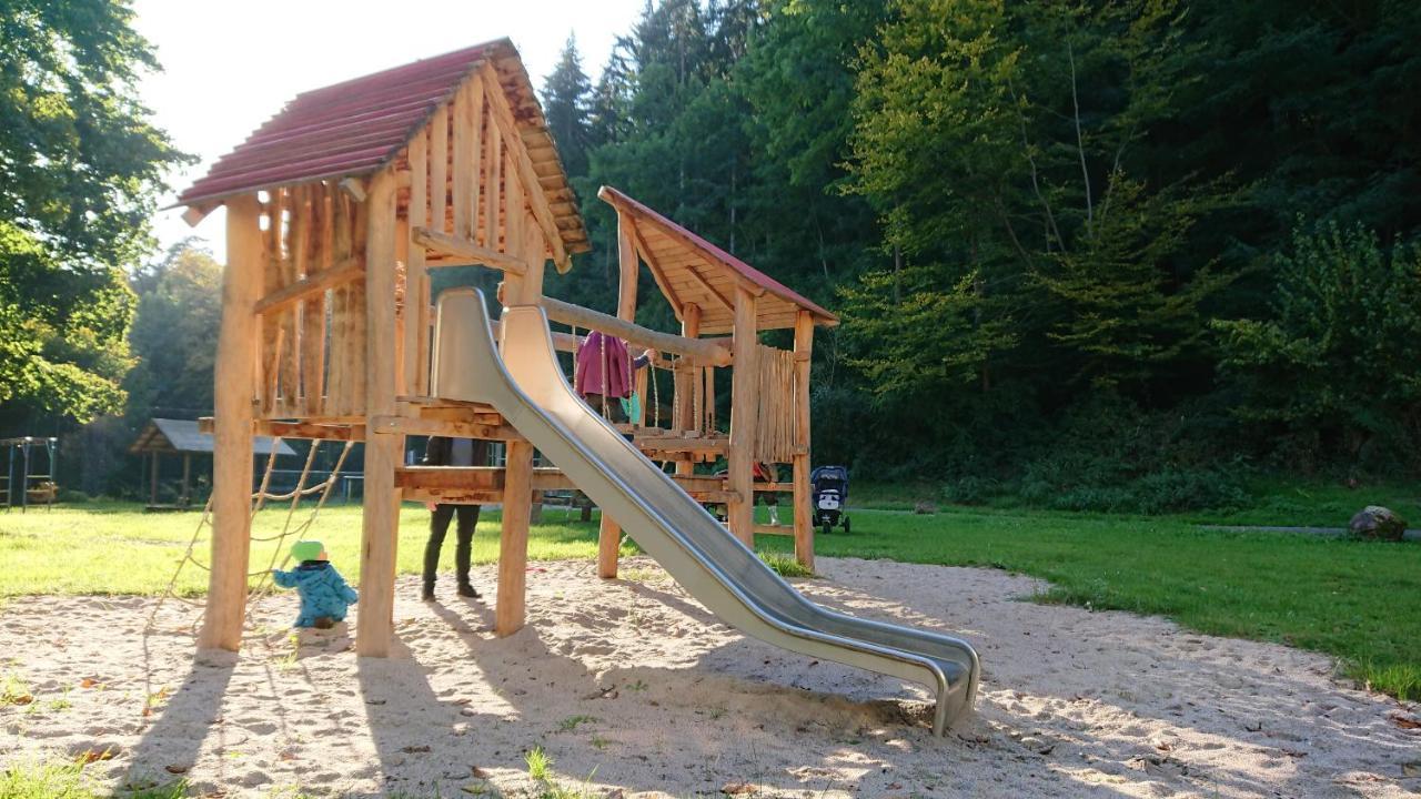 Fewo Am Neckarsteig Mit Anbindung An Heidelberg Neckarsteinach Buitenkant foto