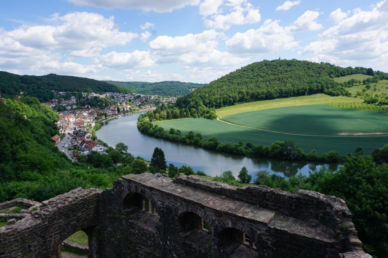 Fewo Am Neckarsteig Mit Anbindung An Heidelberg Neckarsteinach Buitenkant foto
