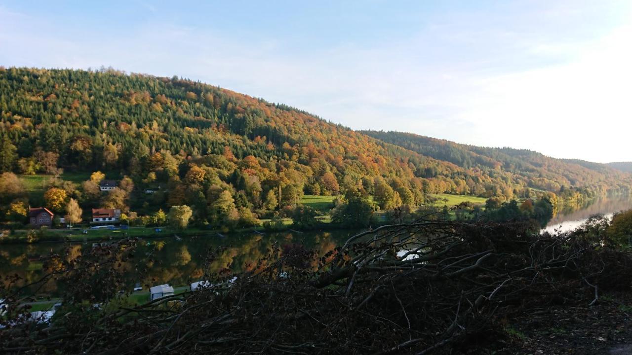 Fewo Am Neckarsteig Mit Anbindung An Heidelberg Neckarsteinach Buitenkant foto