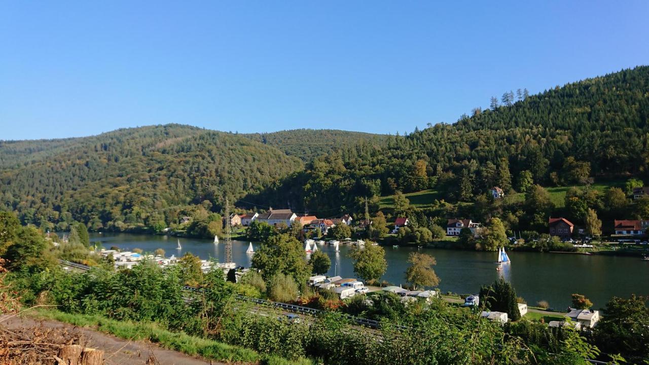 Fewo Am Neckarsteig Mit Anbindung An Heidelberg Neckarsteinach Buitenkant foto